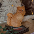 Imagen del producto Crookshanks - Figura de Criaturas Mágicas de Harry Potter