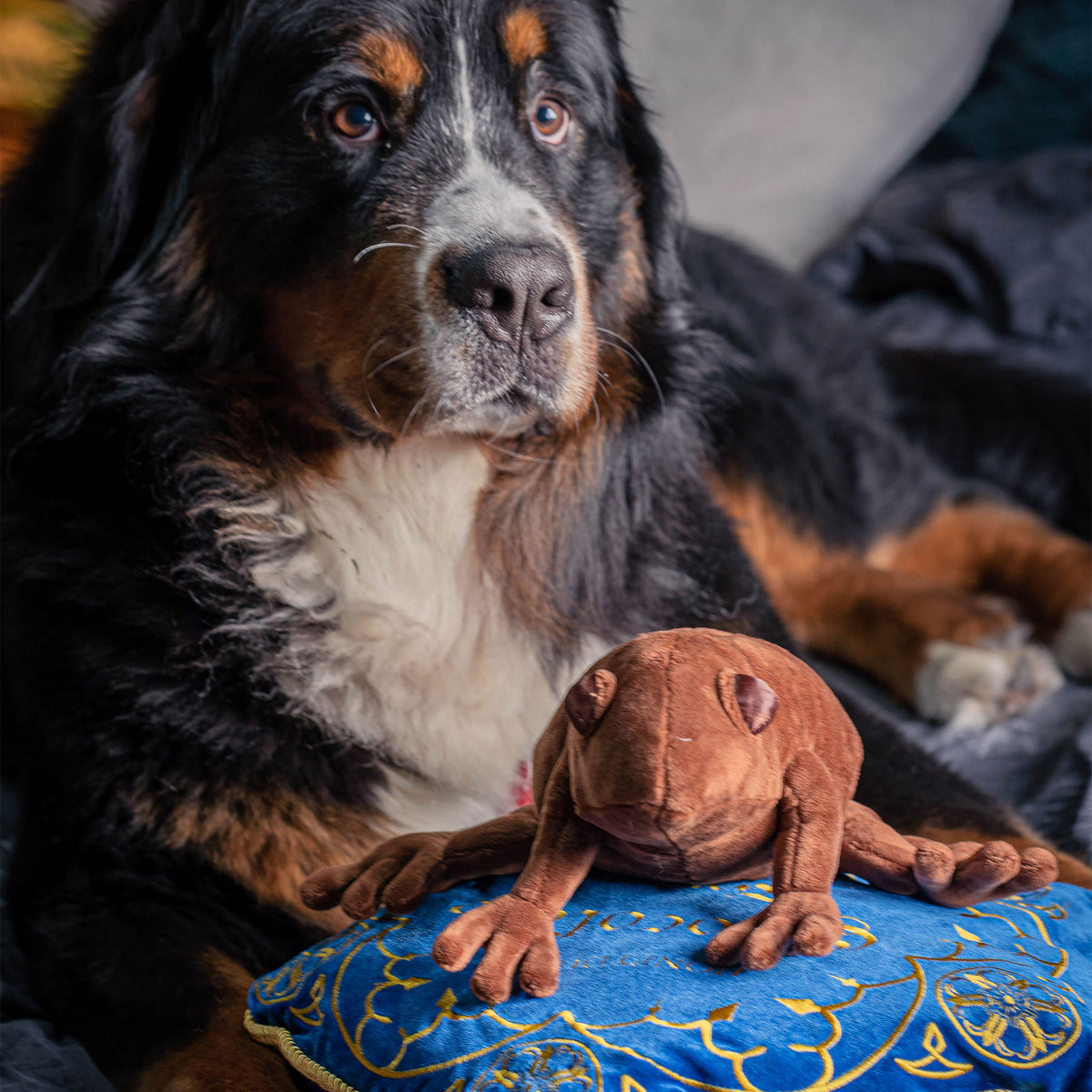 Imagen del producto Harry Potter - Cojín de Rana de Chocolate con Figura de Peluche