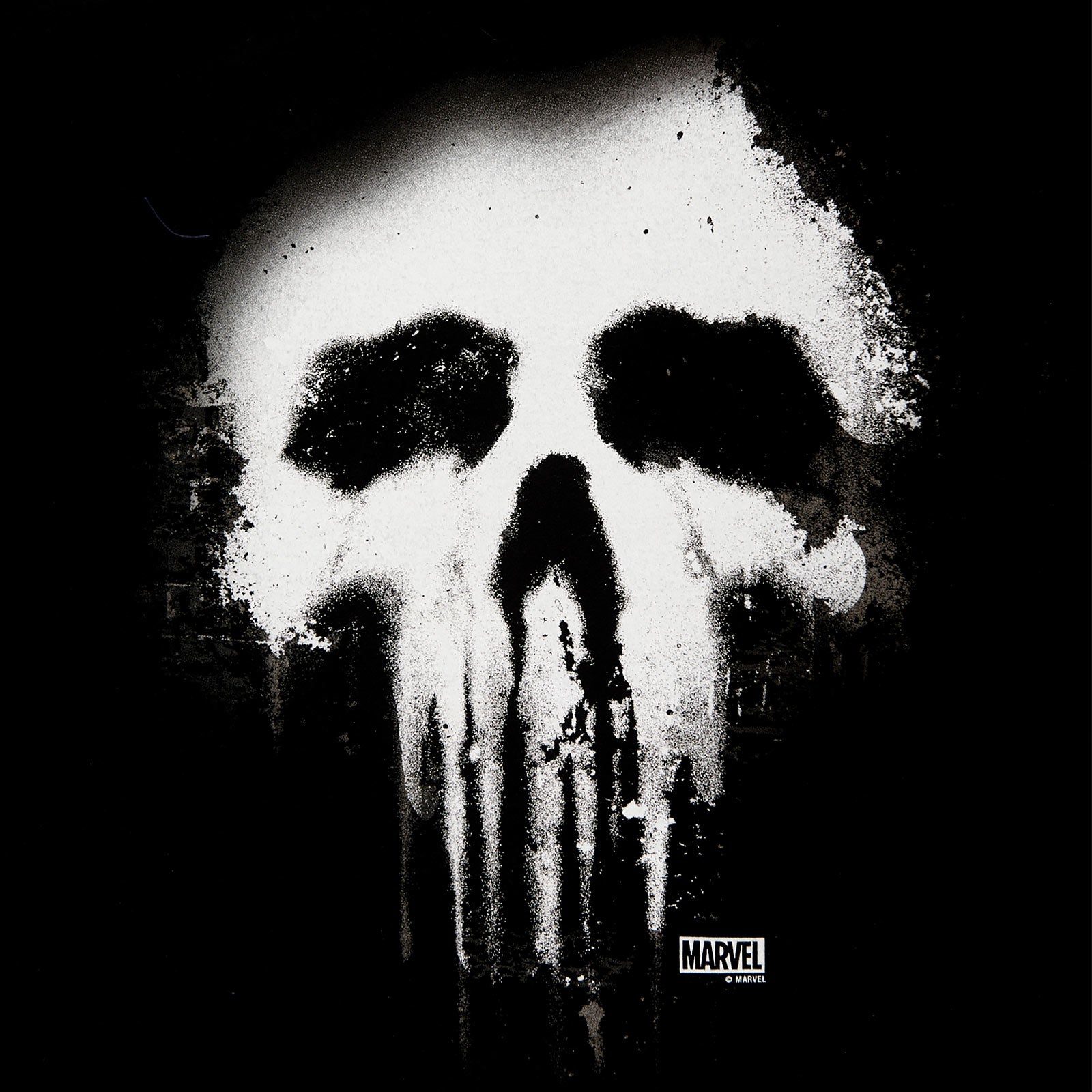 Imagen del producto Punisher - Camiseta negra con logo de calavera descolorida