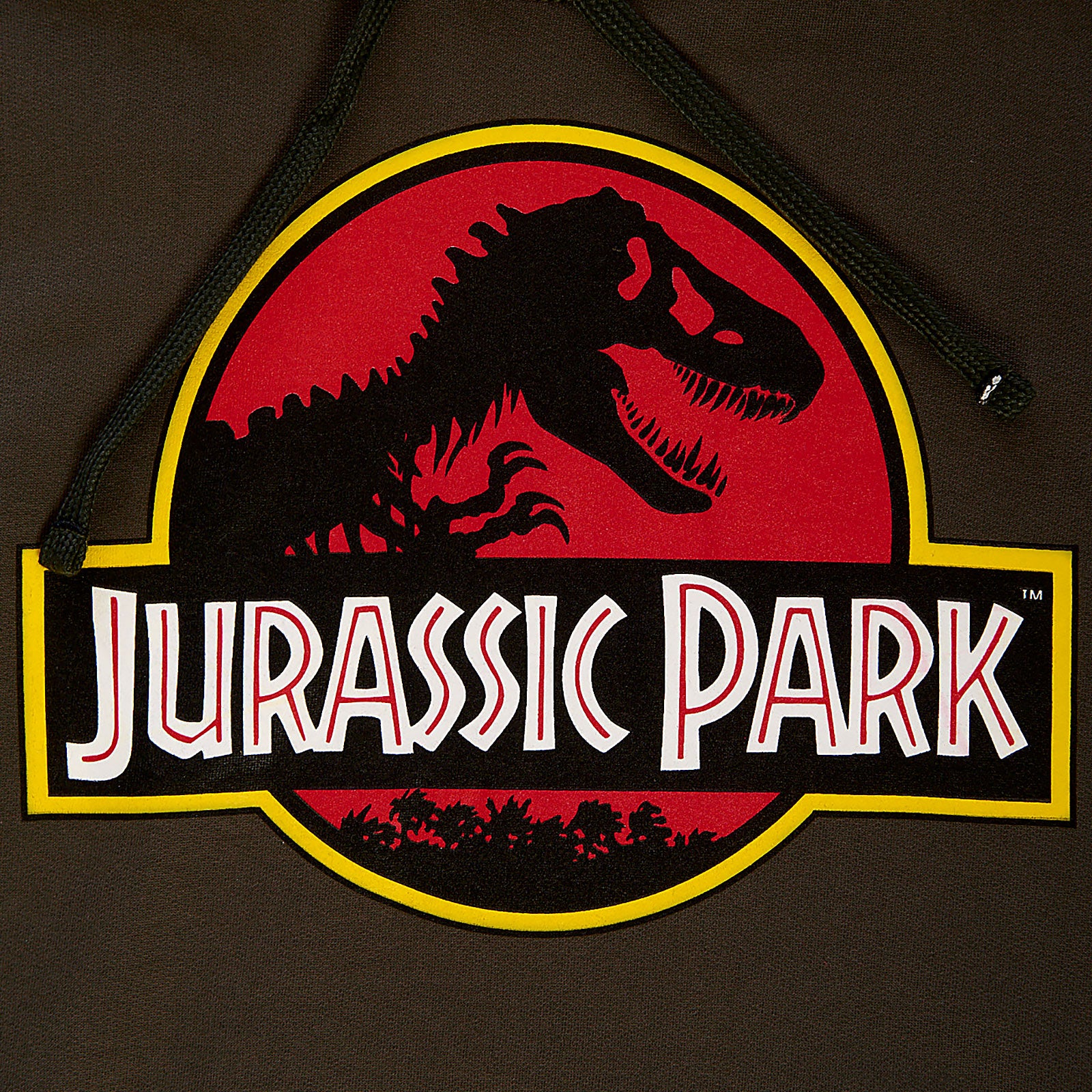Imagen del producto Jurassic Park - Sudadera con capucha verde con logo