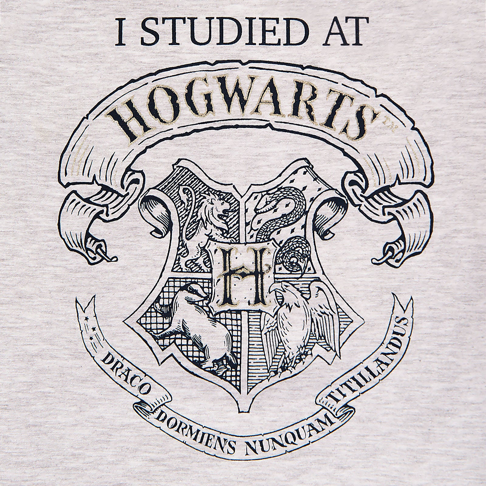 Imagen del producto Harry Potter - Estudié en Hogwarts Camiseta para niños