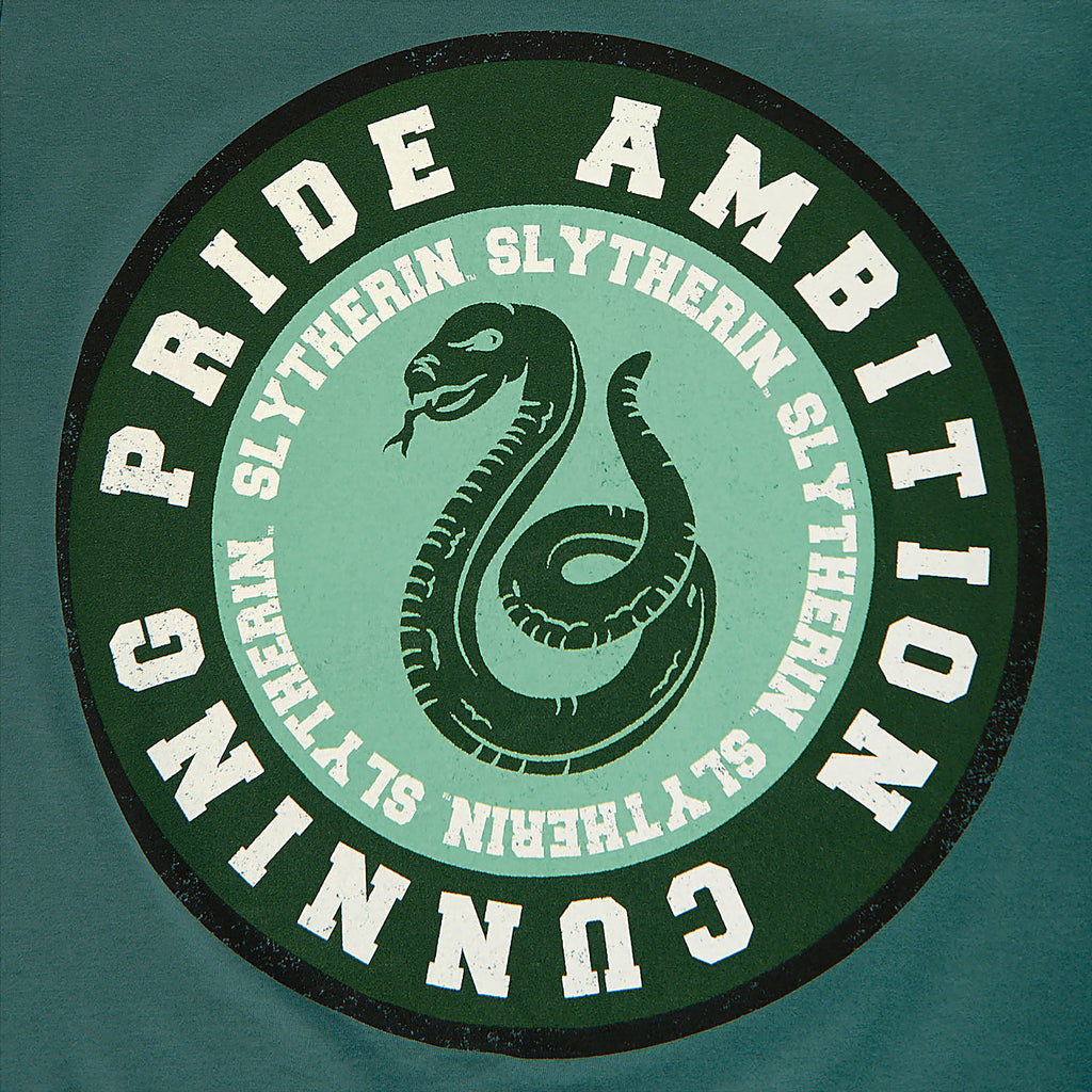 Product image Harry Potter - Slytherin Values T-Shirt green