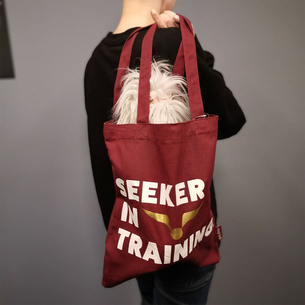 Imagen del producto Harry Potter - Bolsa Shopper Seeker in Training