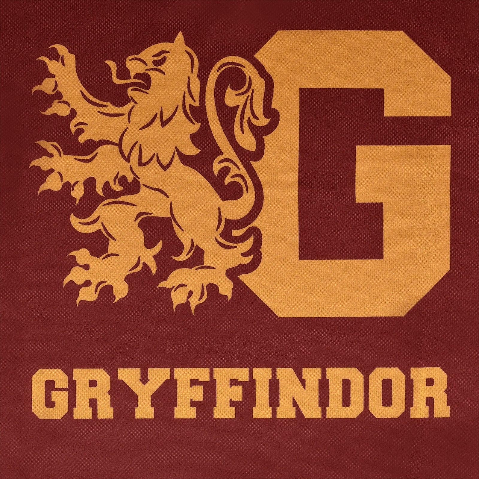 Imagen del producto Harry Potter - Camiseta del equipo Gryffindor roja