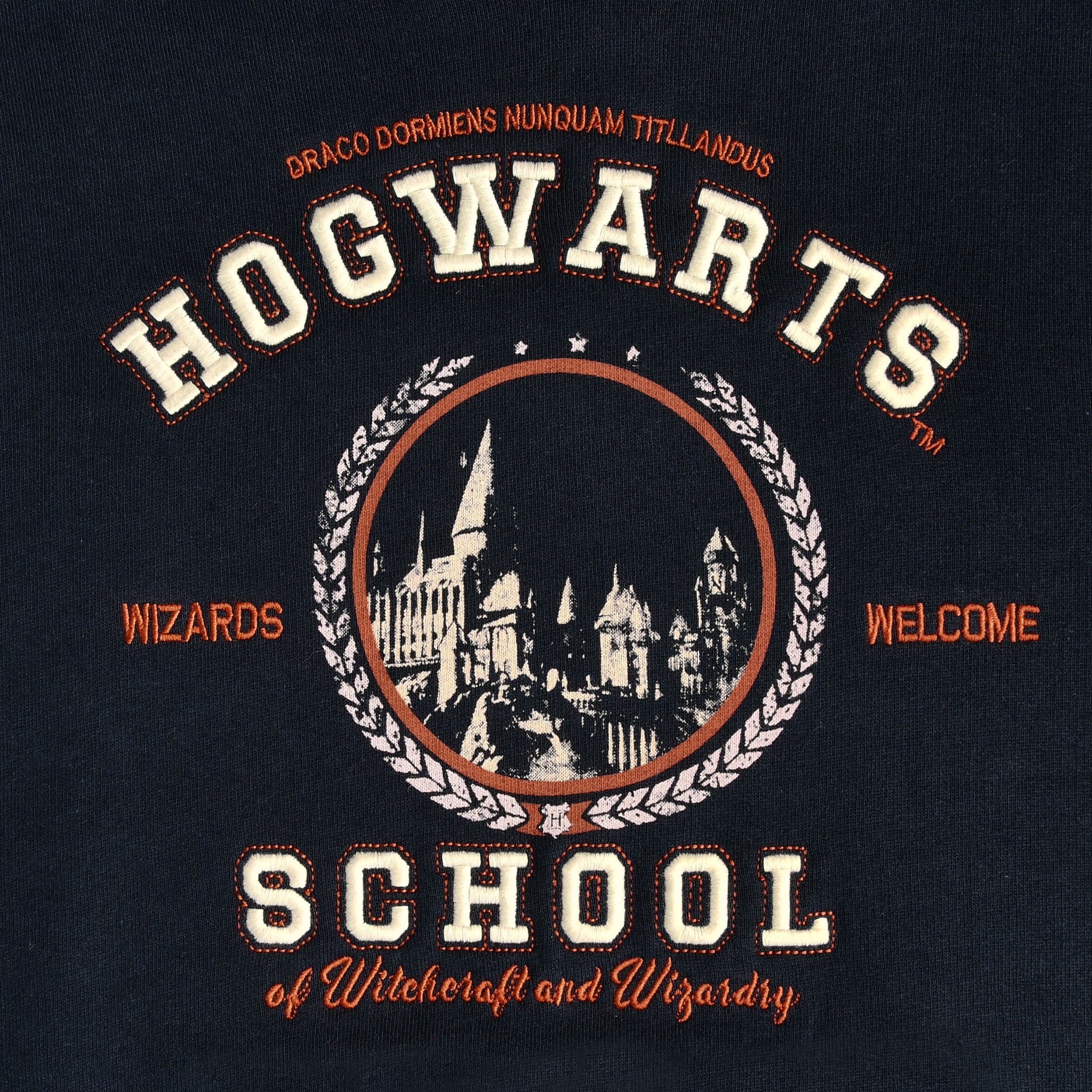 Imagen del producto Harry Potter - Hogwarts School Sudadera con capucha para niños azul