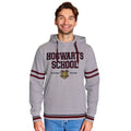 Imagen del producto Harry Potter - Sudadera con capucha de la Escuela Hogwarts gris