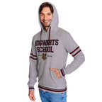 Imagen del producto Harry Potter - Sudadera con capucha de la Escuela Hogwarts gris
