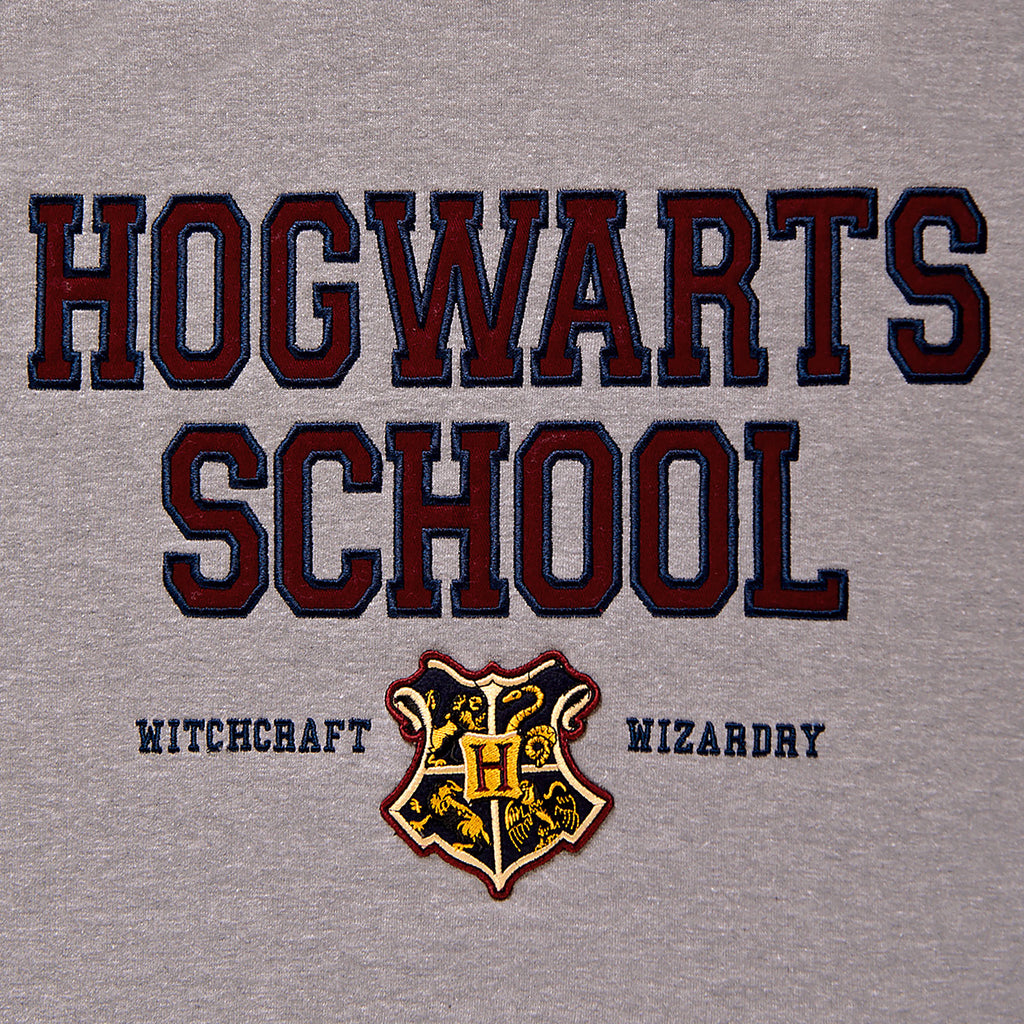 Imagen del producto Harry Potter - Sudadera con capucha de la Escuela Hogwarts gris