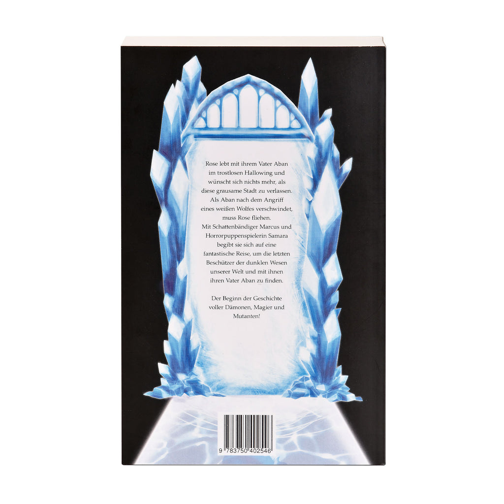 Product image Shadow Mirror Paperback