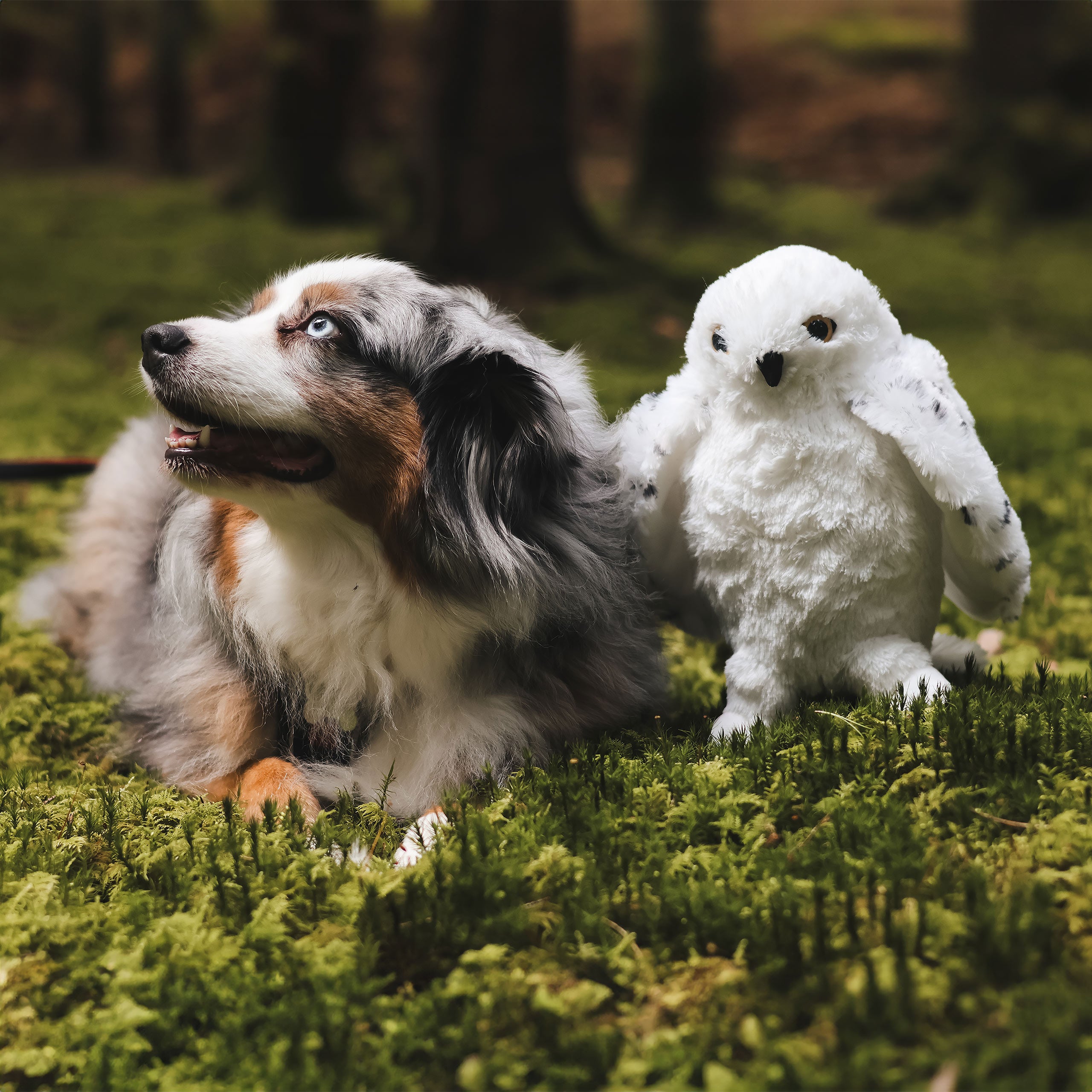 Imagen del producto Figura de peluche de Hedwig con alas abiertas 28 cm - Harry Potter