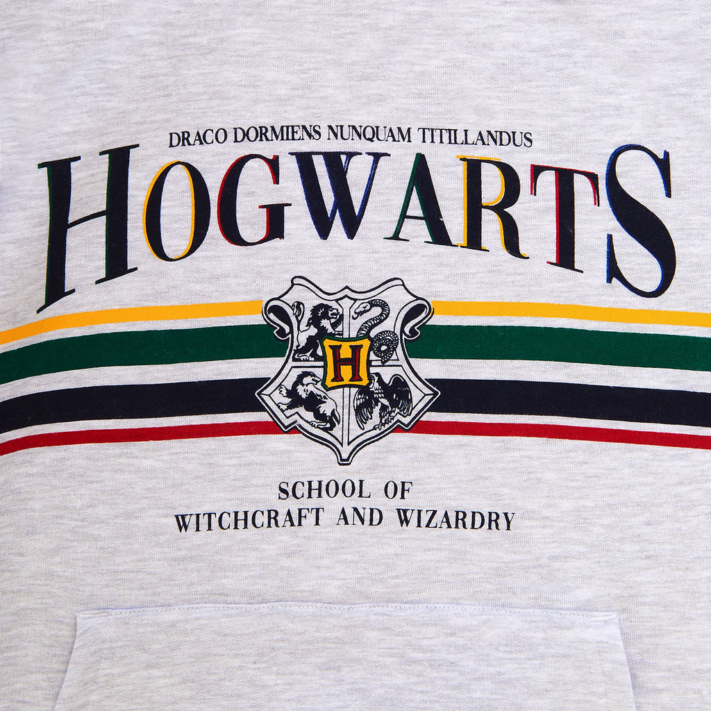 Imagen del producto Harry Potter - Sudadera con capucha de Hogwarts gris