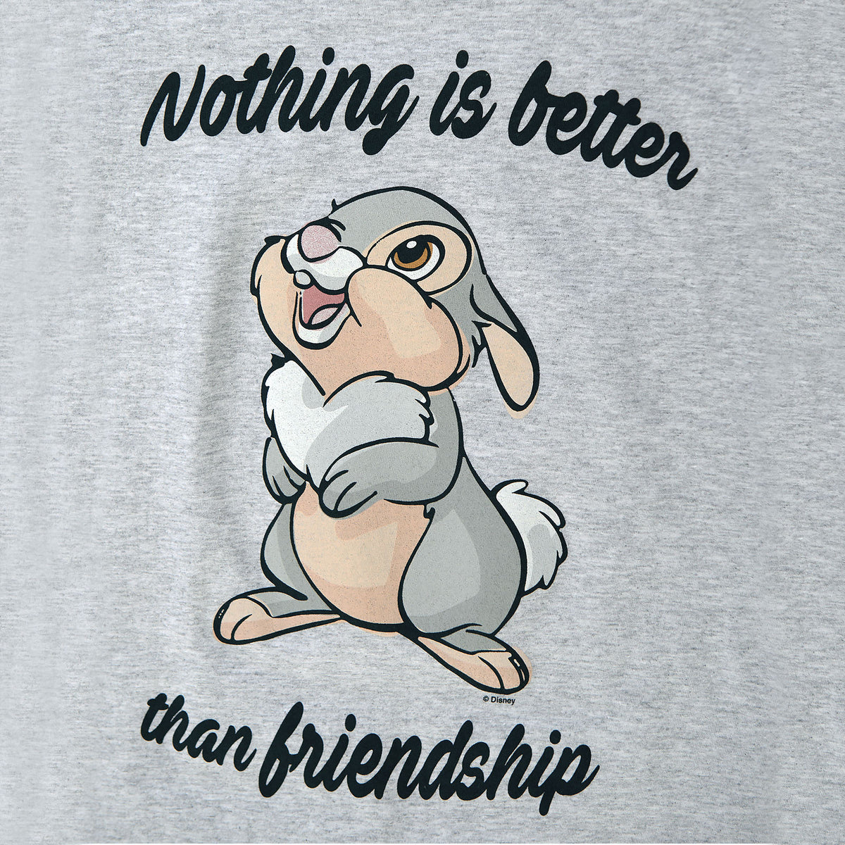 Product image Bambi - Thumper Friendship Women's T-Shirt Grey