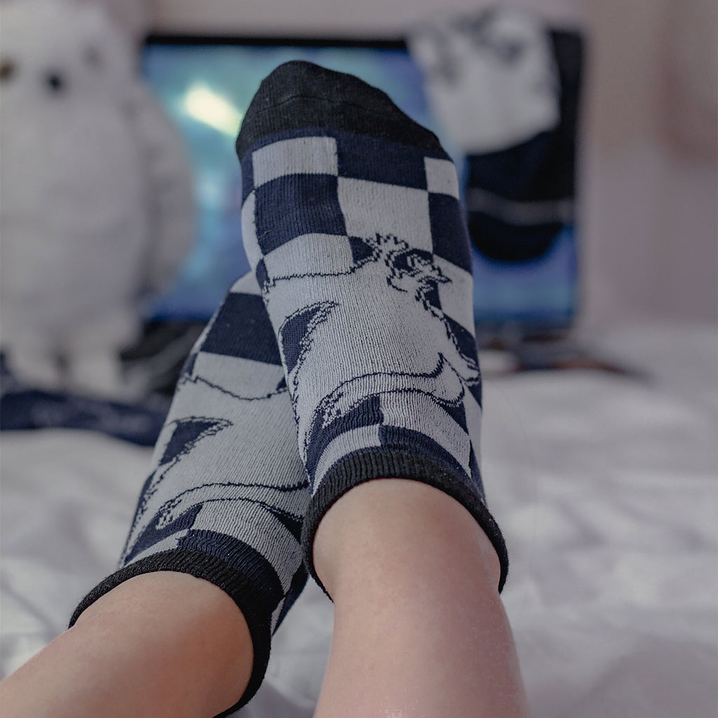 Imagen del producto Harry Potter - Set de 5 calcetines Ravenclaw