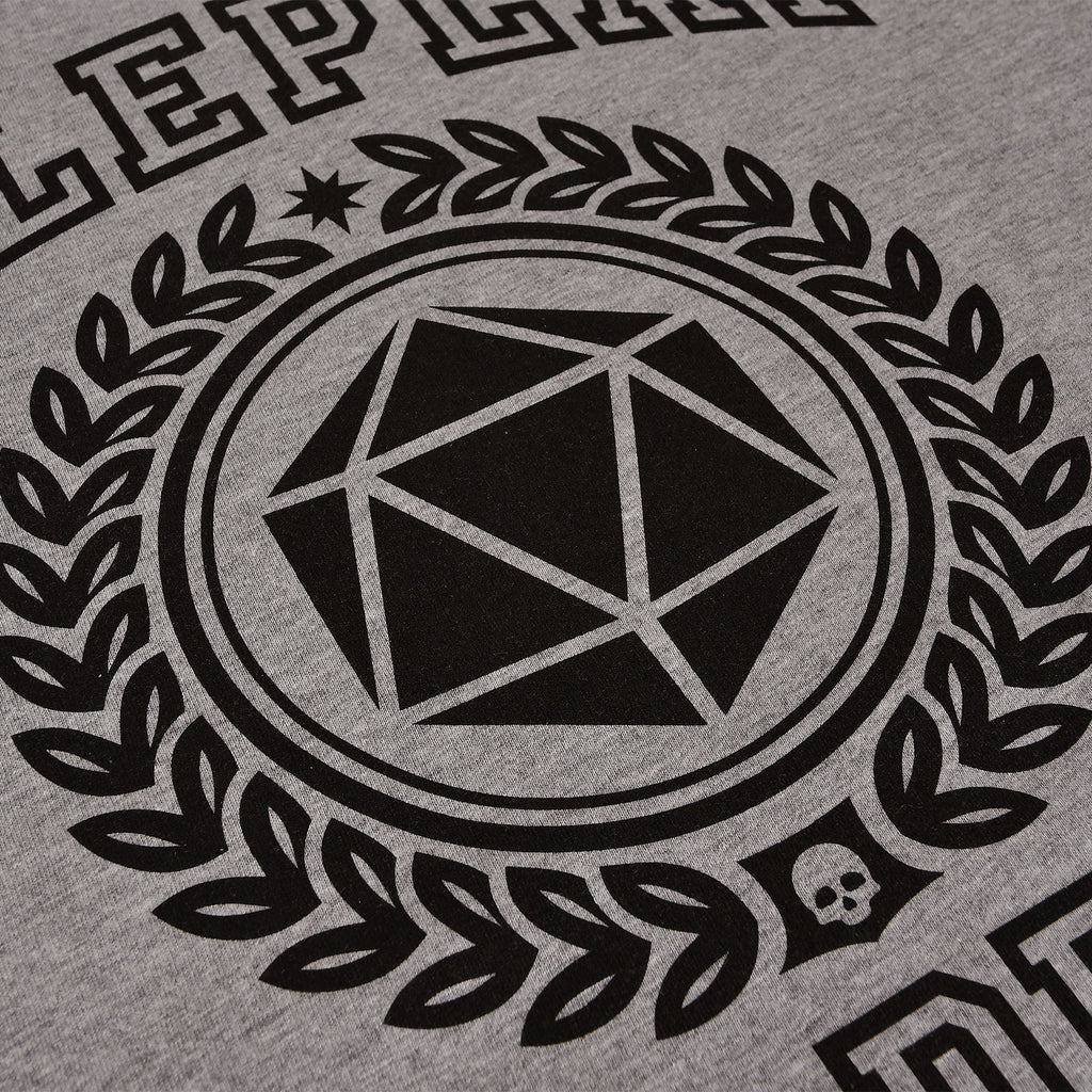 Imagen del producto Camiseta gris de la Academia de Rol