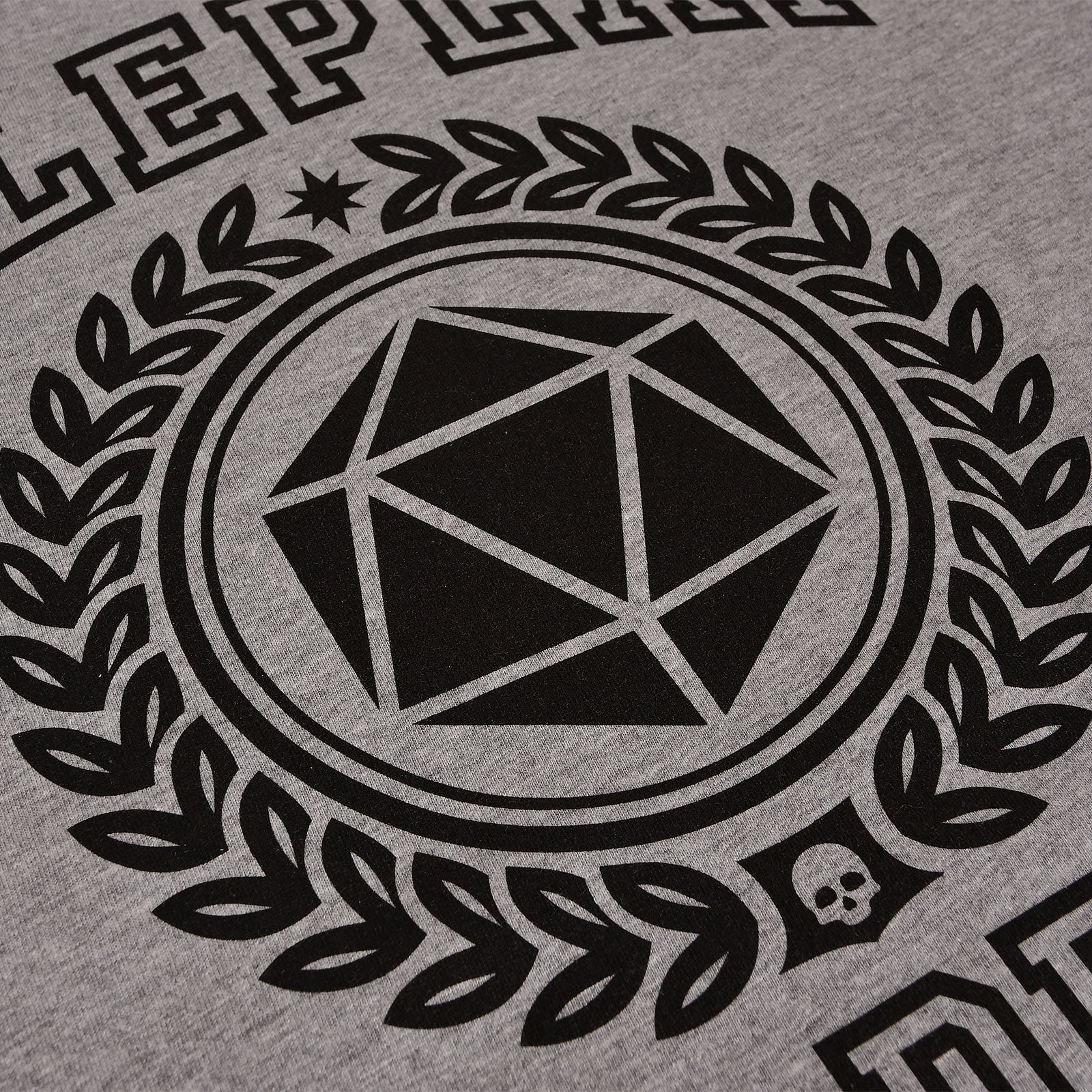Imagen del producto Camiseta gris de la Academia de Rol