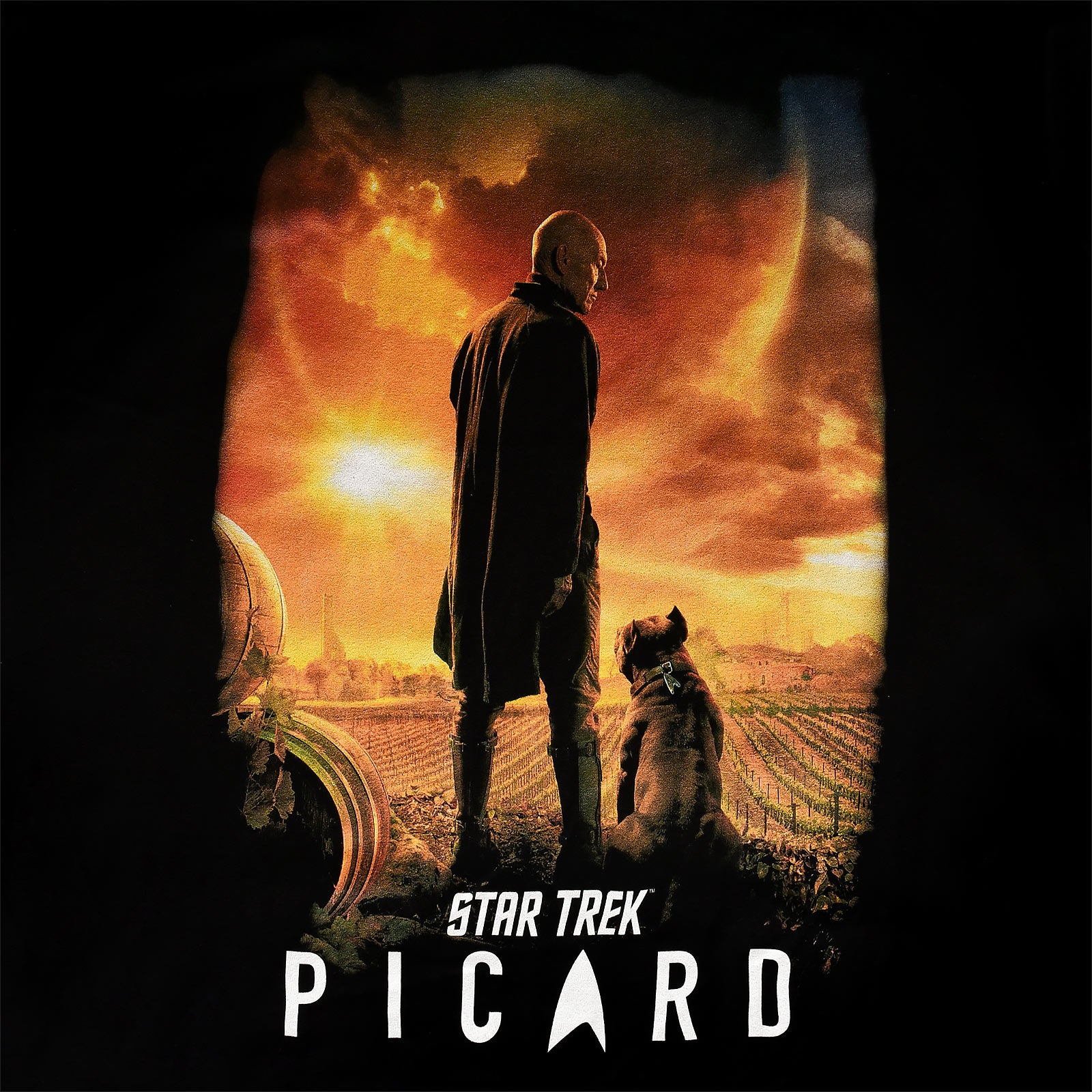 Imagen del producto Star Trek - Camiseta negra con póster de Picard