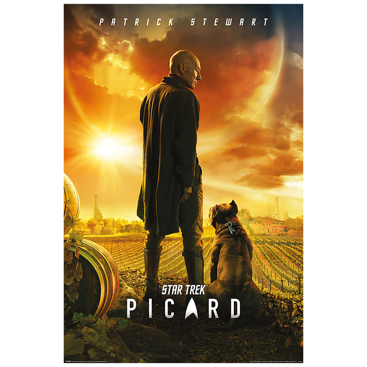 Imagen del producto Star Trek - Picard Maxi Poster