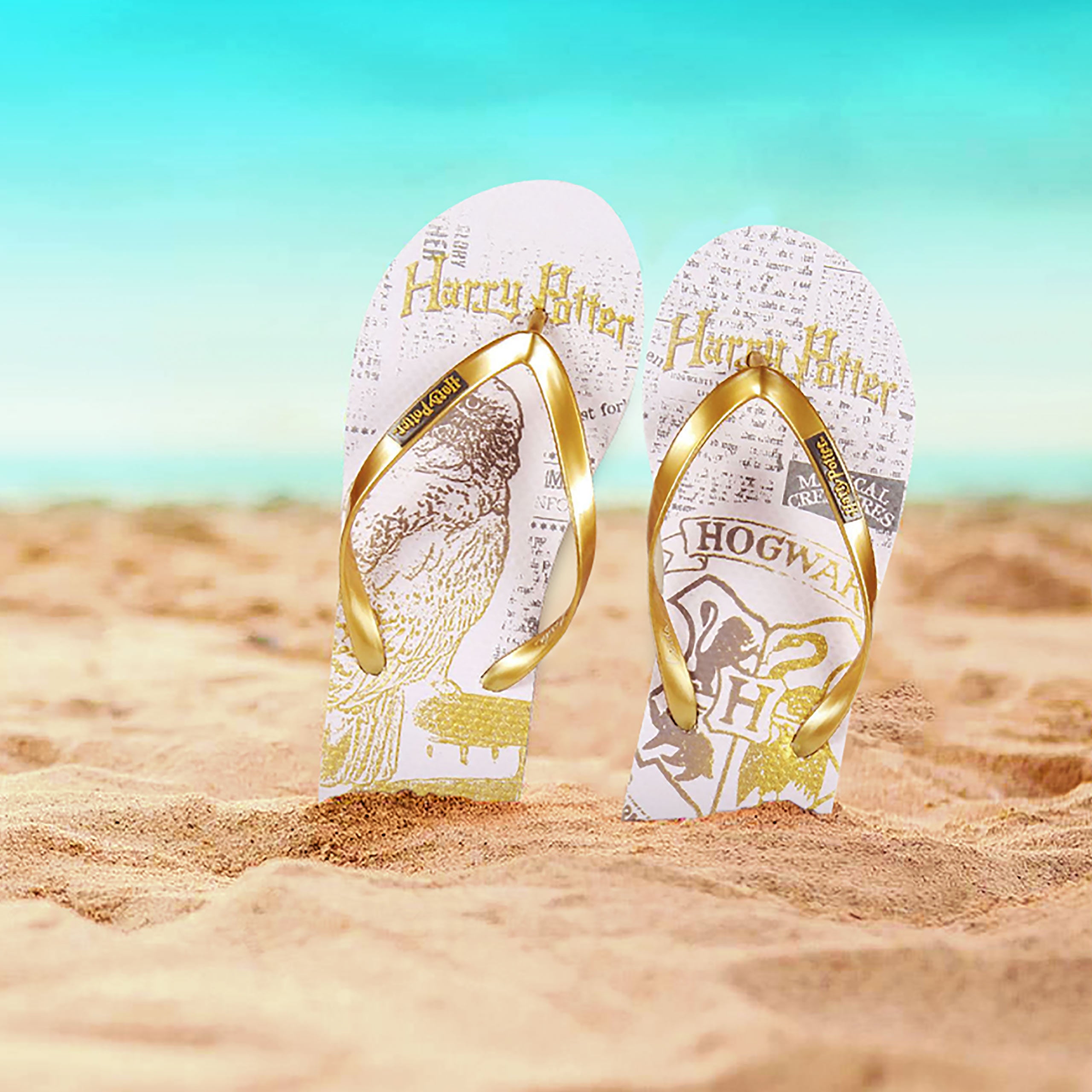 Imagen del producto Harry Potter - Chanclas de Hogwarts