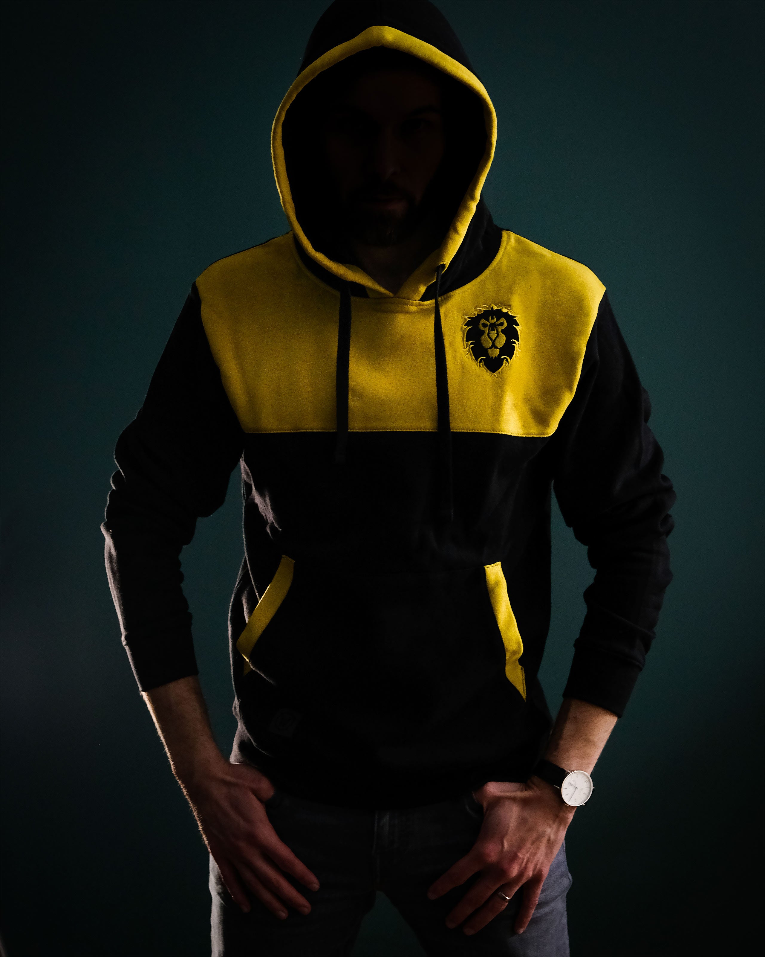 Imagen del producto World of Warcraft - Alliance to the End Hoodie