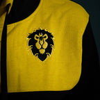 Imagen del producto World of Warcraft - Alliance to the End Hoodie