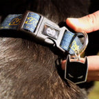 Product image Batman Click-Collar for Dogs Blue
