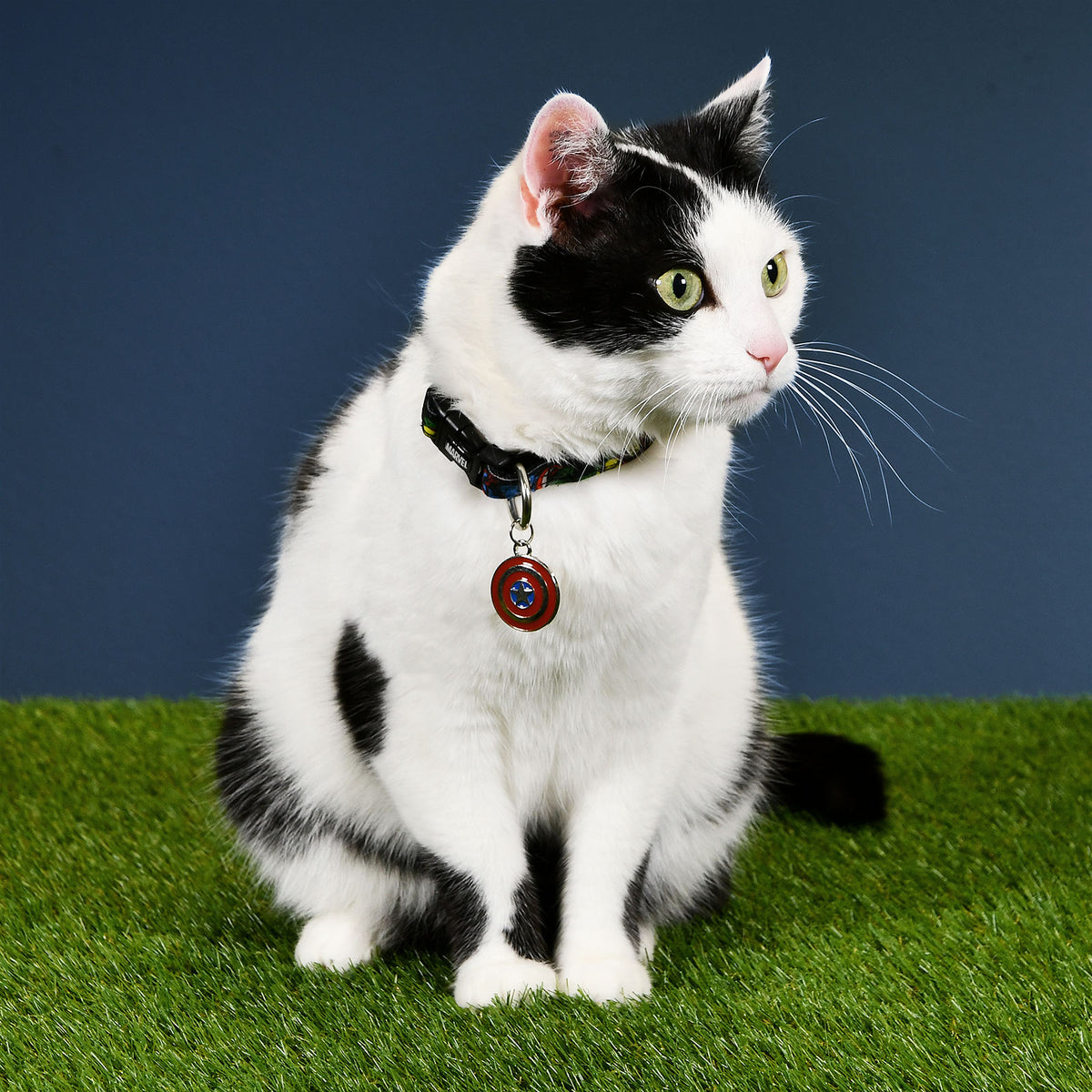 Imagen del producto Avengers - Collar para perros con click de Comic Heroes
