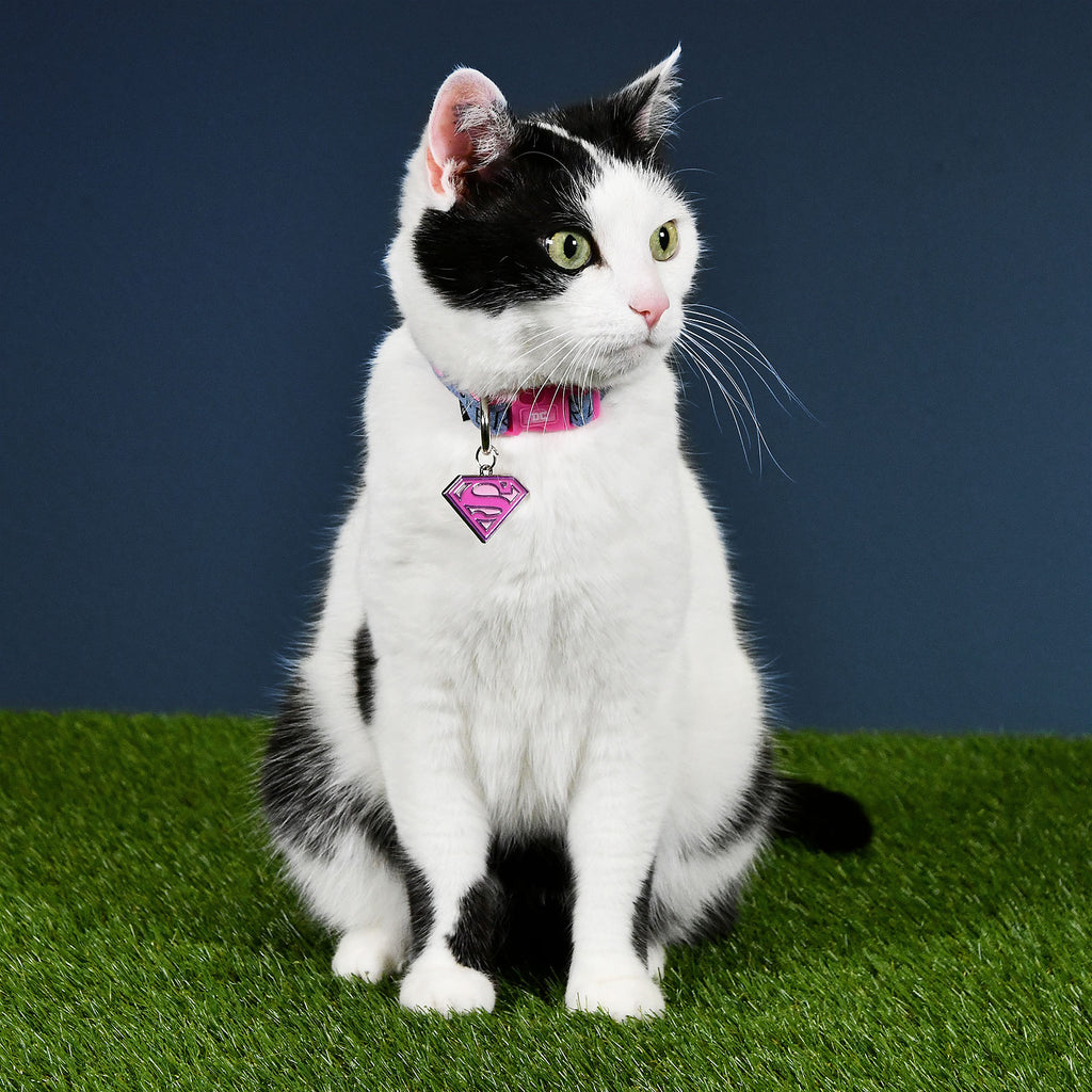 Imagen del producto Collar de perro Supergirl Click en rosa-azul