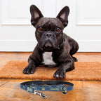 Imagen del producto Correa para perros Batman azul