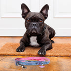 Imagen del producto Correa para perros Supergirl rosa-azul