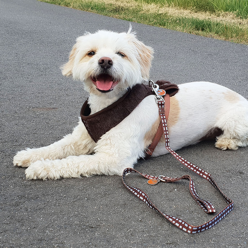 Imagen del producto Star Wars - Arnés para perros Chewbacca marrón