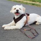 Imagen del producto Star Wars - Arnés para perros Chewbacca marrón