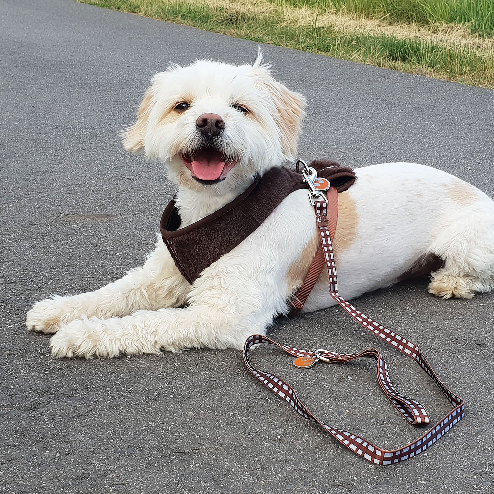 Imagen del producto Star Wars - Arnés para perros Chewbacca marrón