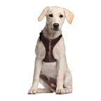 Imagen del producto Star Wars - Arnés para perros Chewbacca marrón