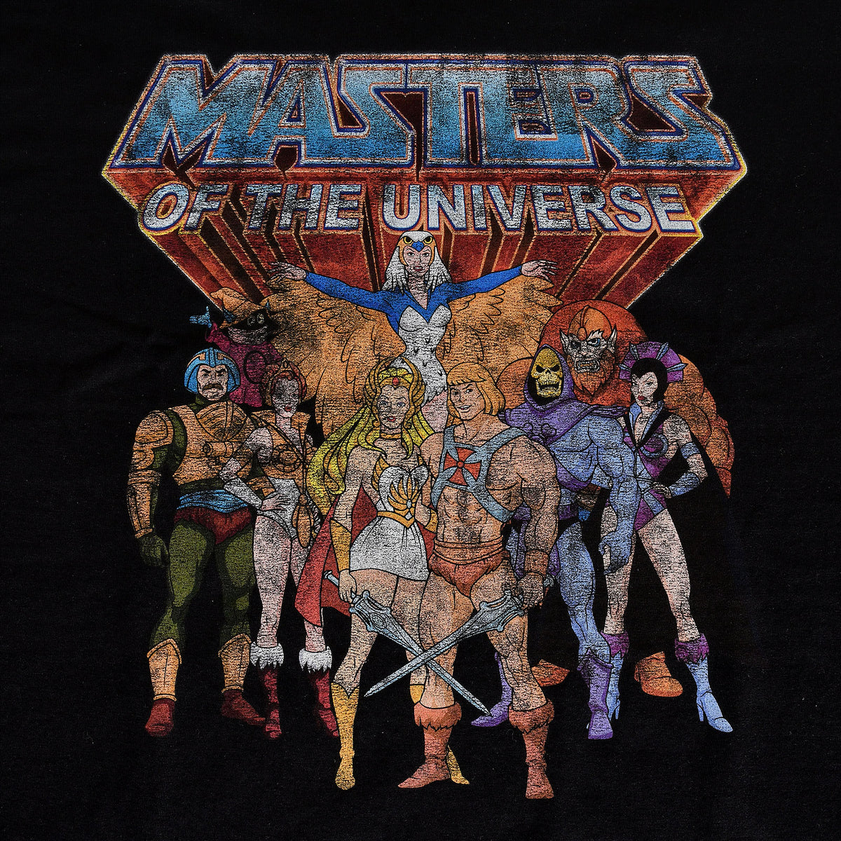 Product image Masters of the Universe - Characters Distressed T-Shirt black