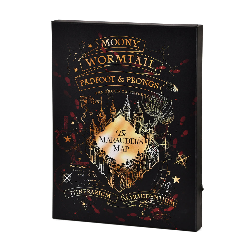 Product image Harry Potter - Marauder's Map Wall Picture with Light