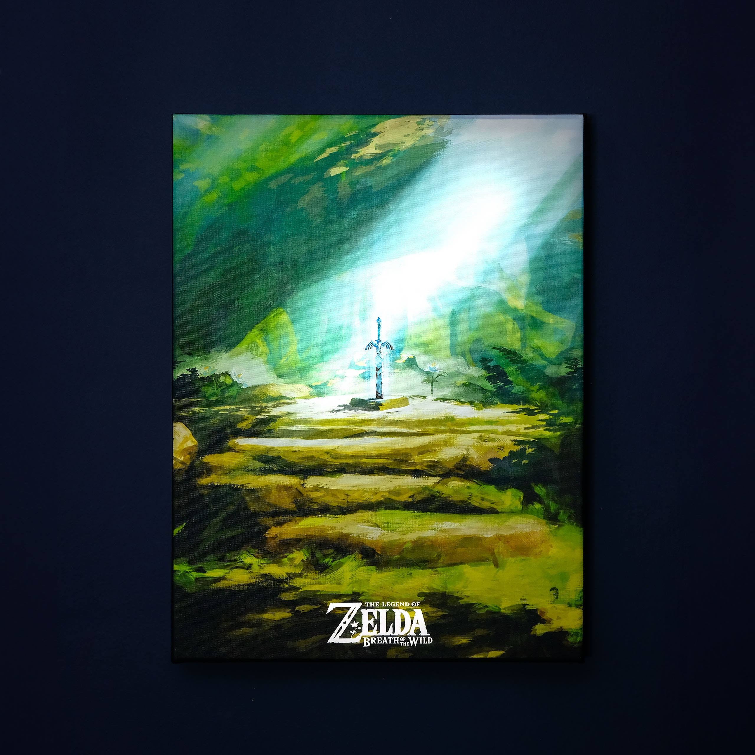Imagen del producto Zelda - Cuadro de pared de la Espada Maestra con luz