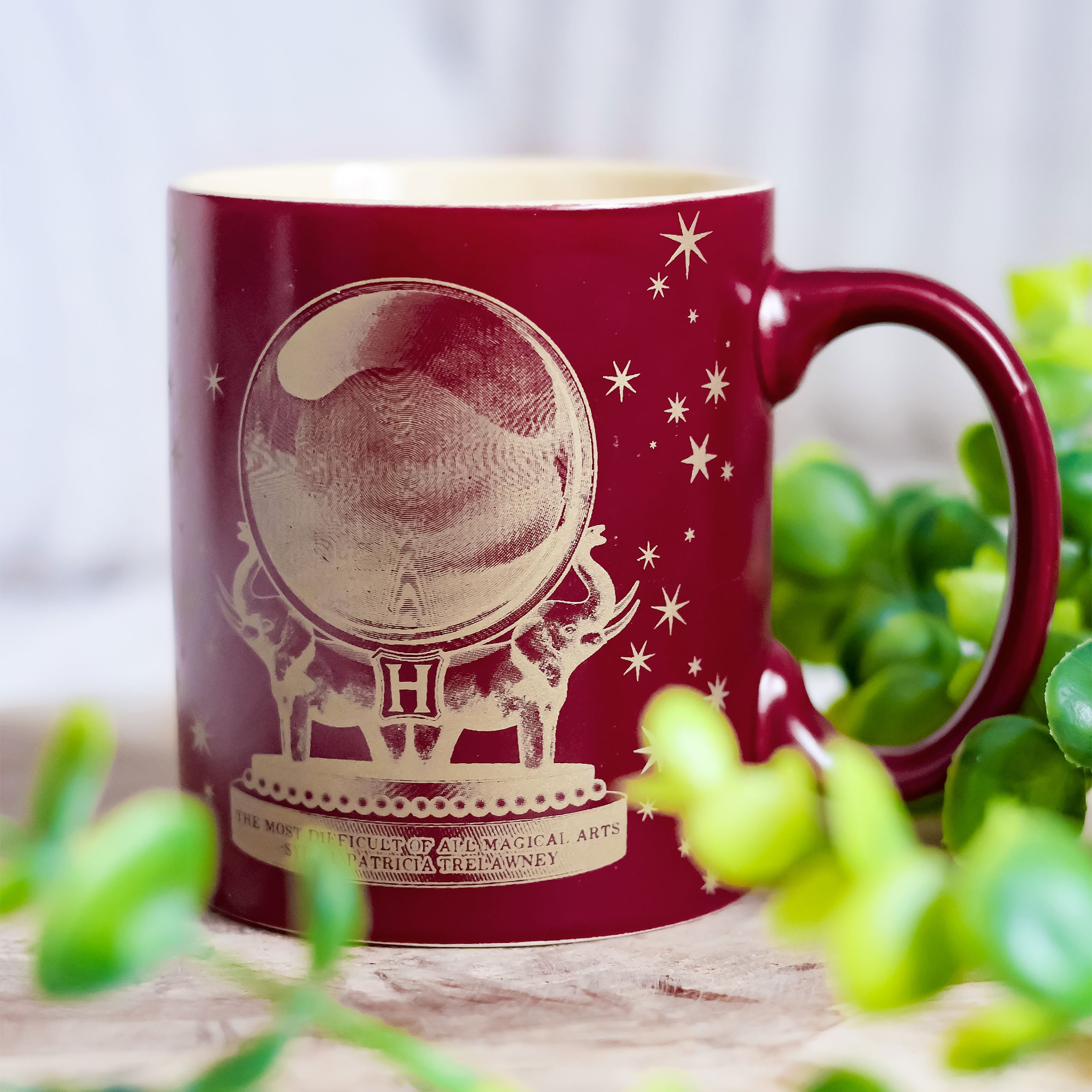 Imagen del producto Harry Potter - Taza de Adivinación