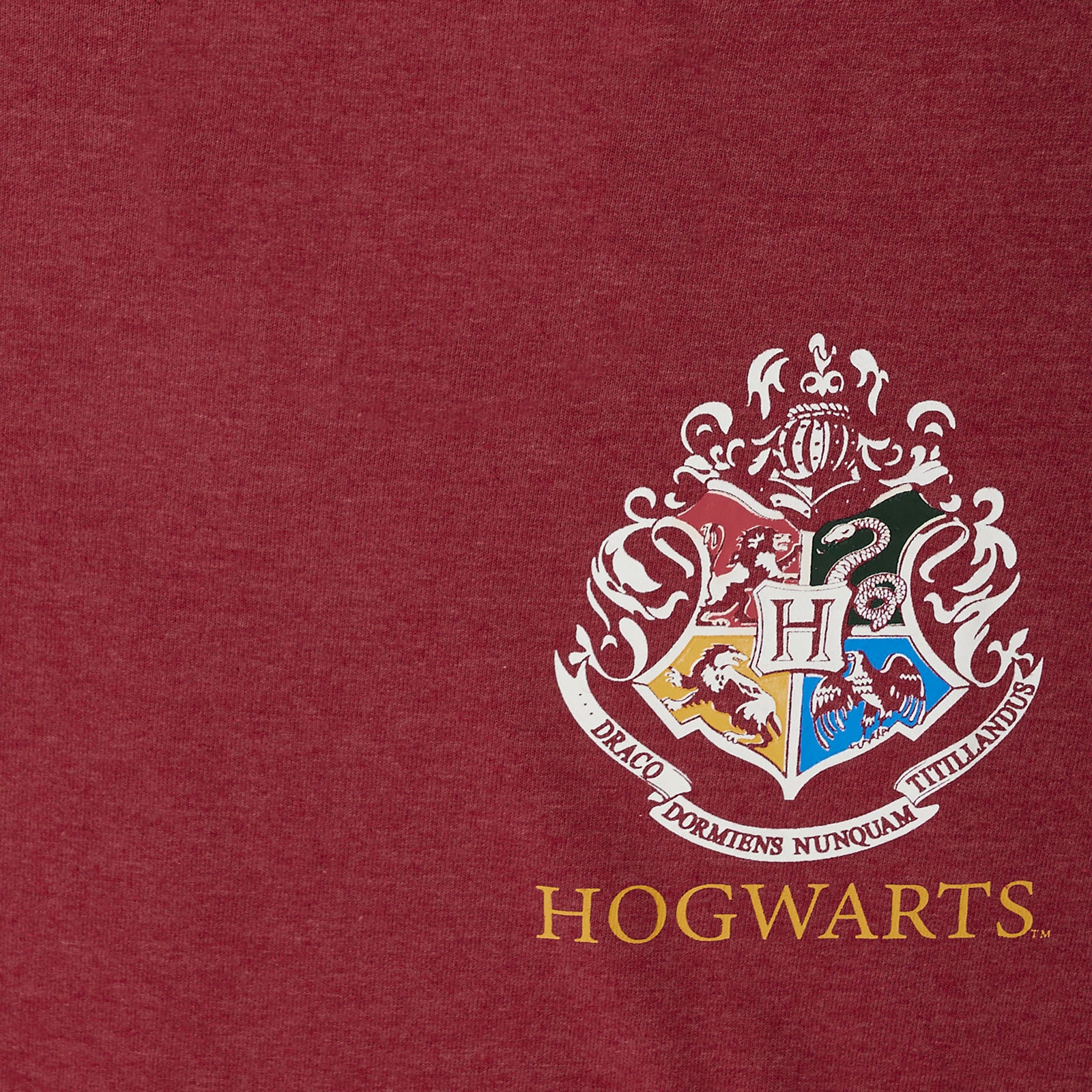 Imagen del producto Camiseta Oversize de Mujer Harry Potter Gryffindor Buscadora roja