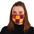 Imagen del producto Harry Potter - Máscara facial Gryffindor set de 2