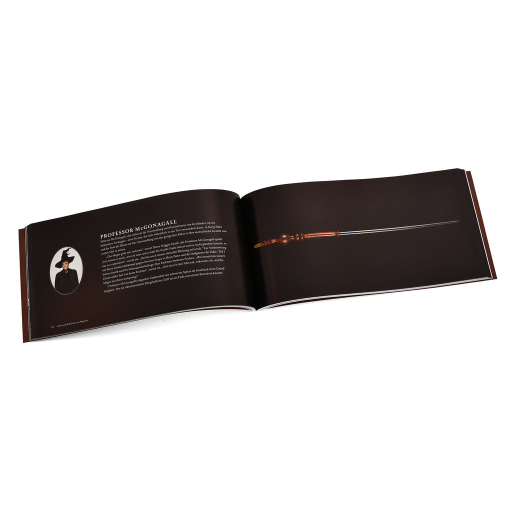Imagen del producto Harry Potter - El libro de las varitas mágicas Set de regalo