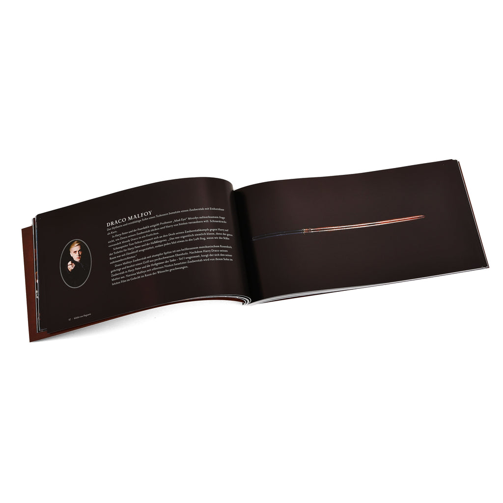 Imagen del producto Harry Potter - El libro de las varitas mágicas Set de regalo