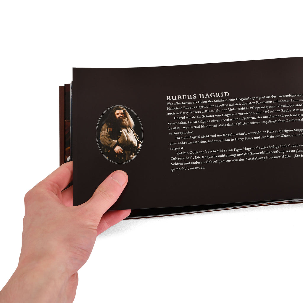 Imagen del producto Harry Potter - El libro de las varitas mágicas Set de regalo