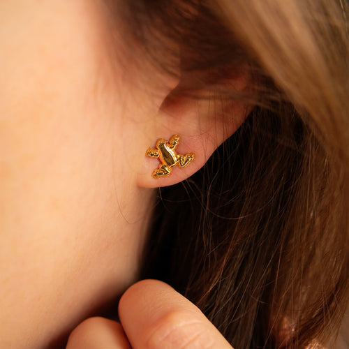 Imagen del producto Harry Potter - Pendientes Rana de Chocolate