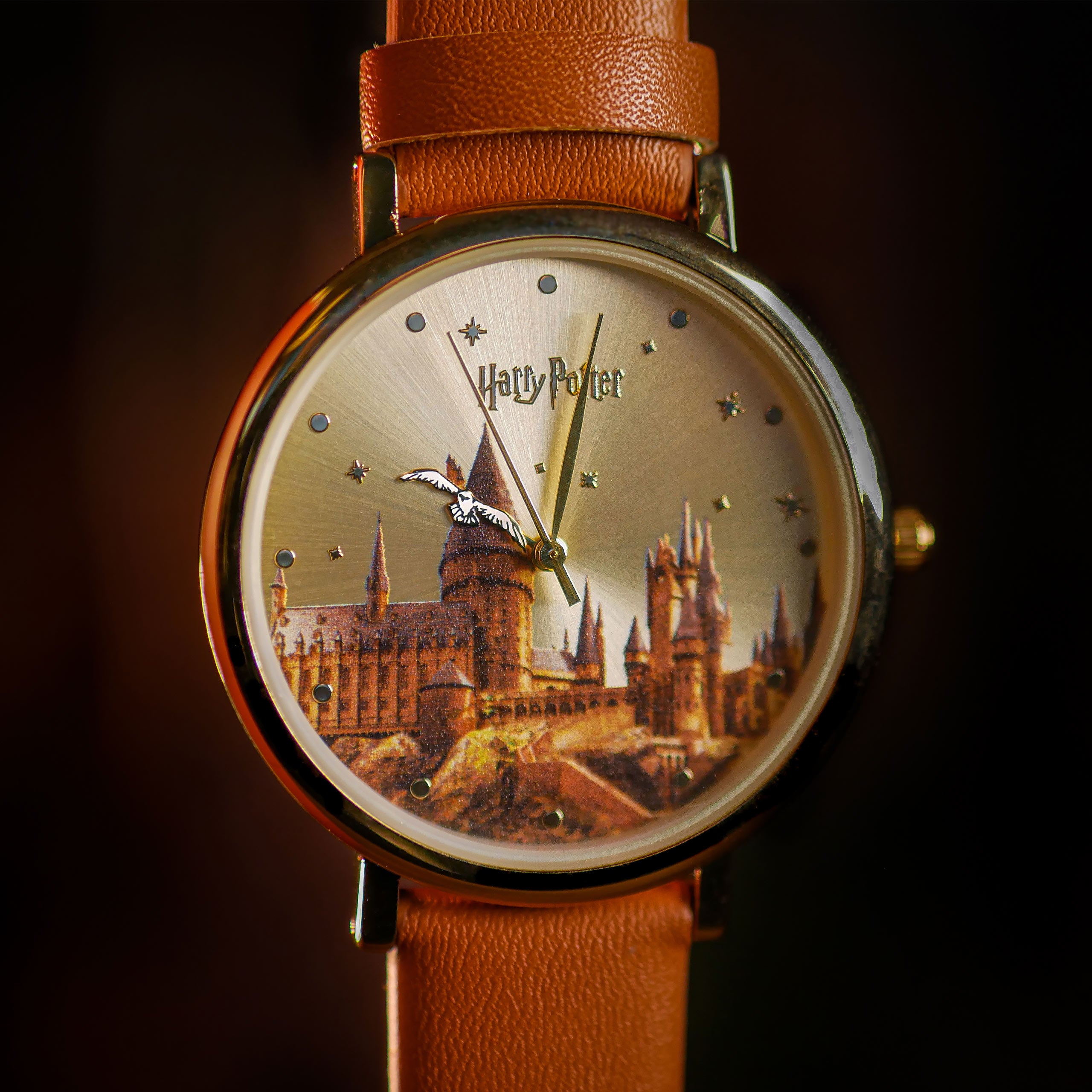 Imagen del producto Harry Potter - Reloj de Pulsera del Castillo de Hogwarts