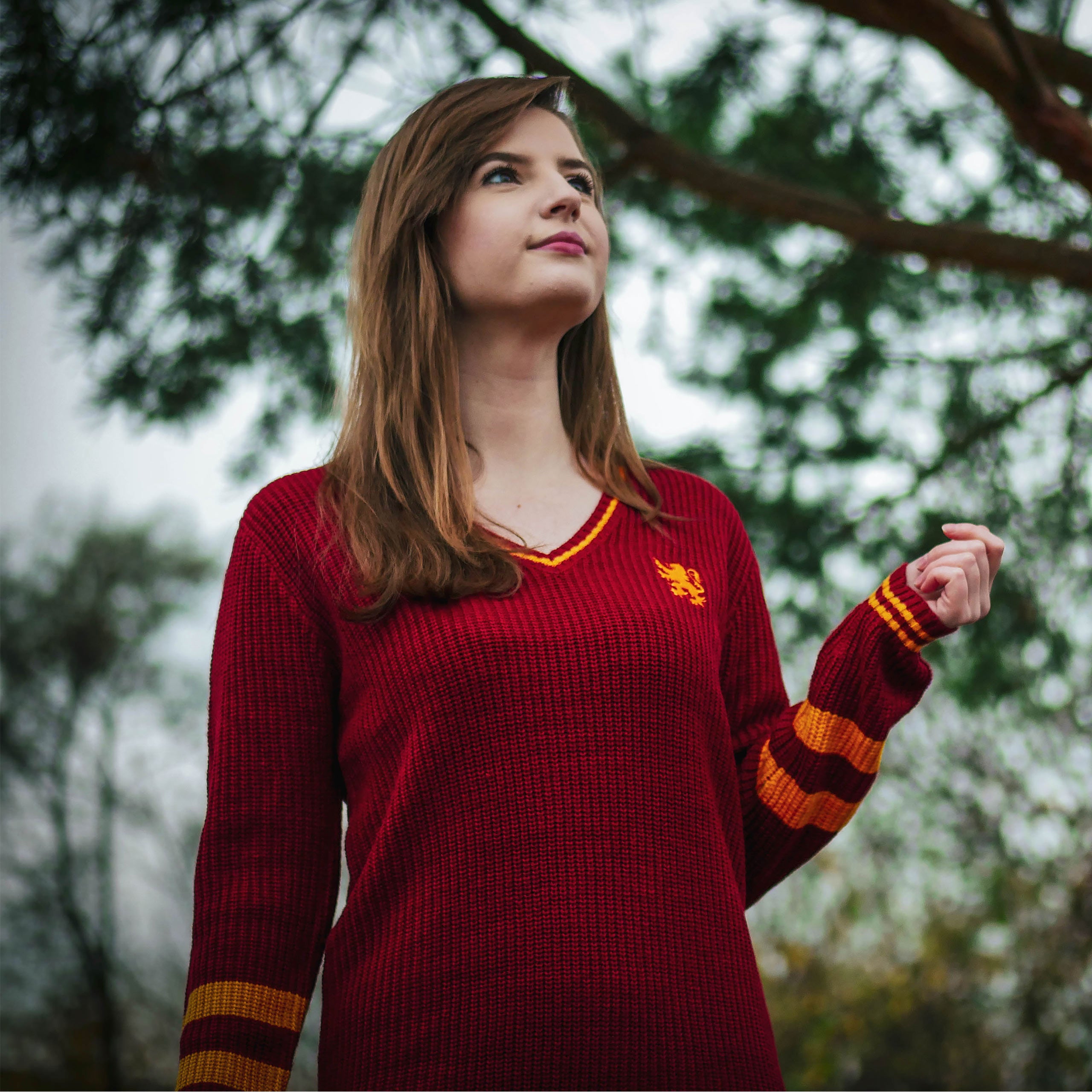 Imagen del producto Harry Potter - Vestido de punto Gryffindor rojo