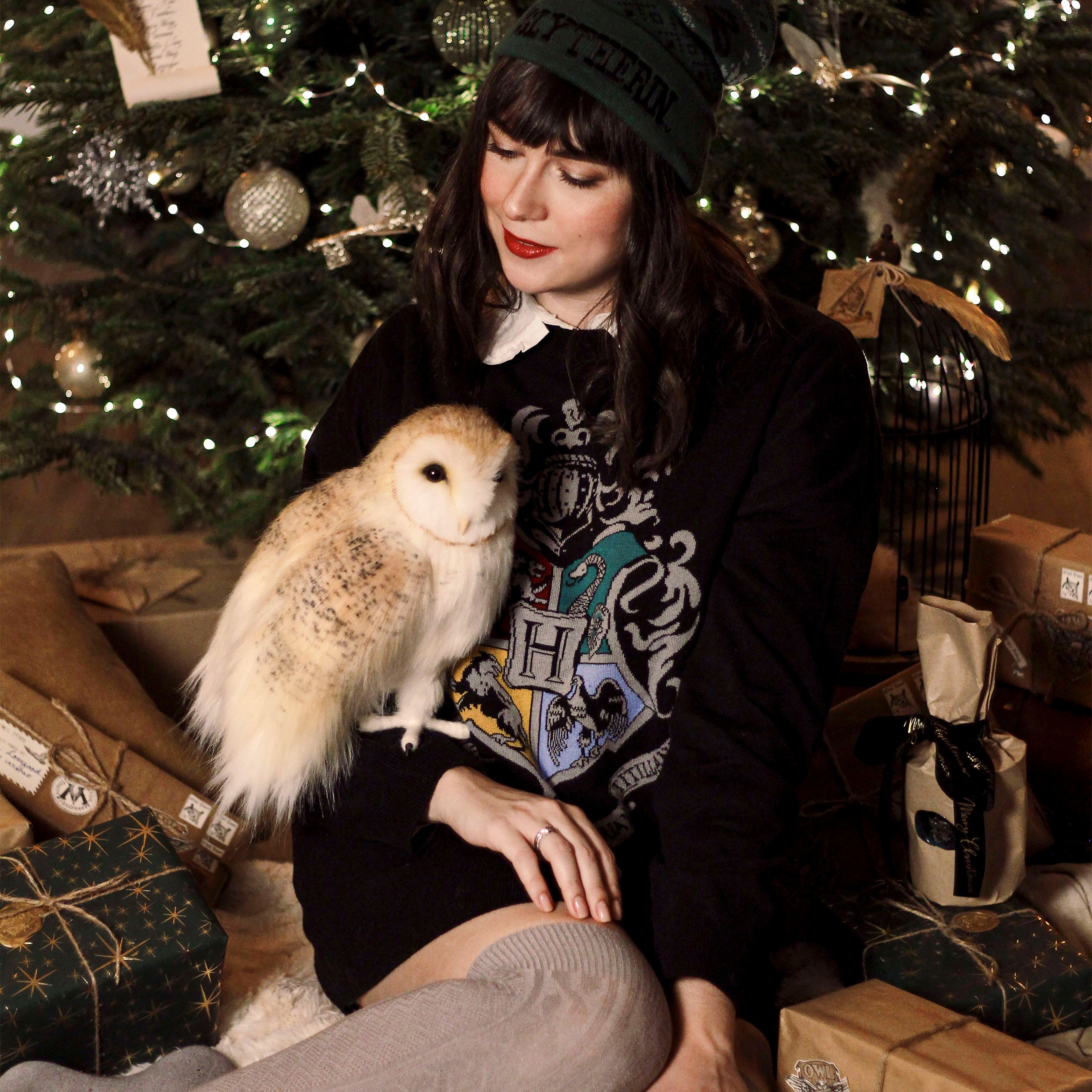 Imagen del producto Harry Potter - Sudadera sobredimensionada con escudo de Hogwarts negro