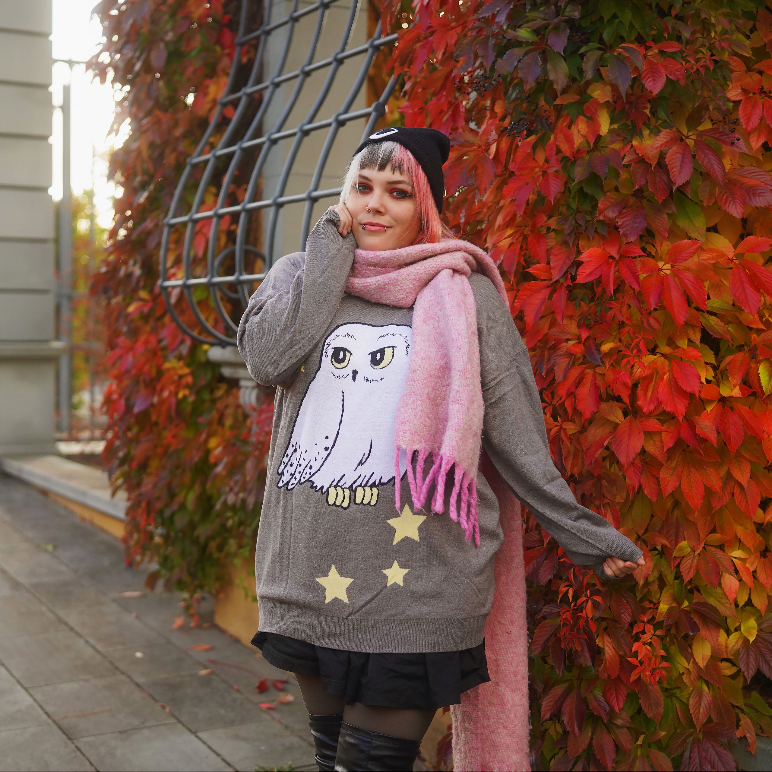 Imagen del producto Harry Potter - Jersey Oversize de Hedwig gris