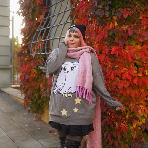 Imagen del producto Harry Potter - Jersey Oversize de Hedwig gris