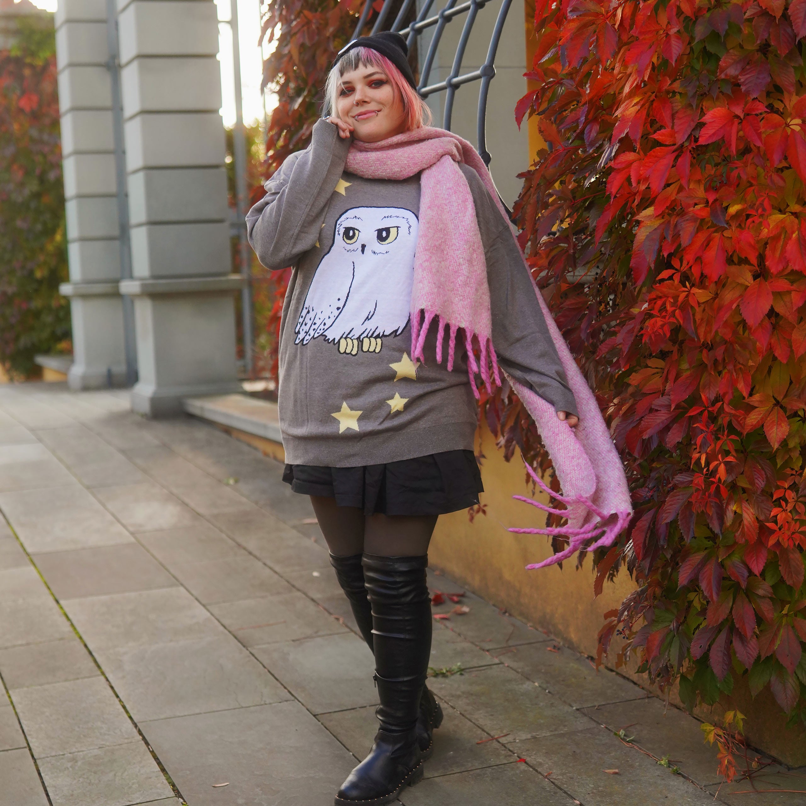 Imagen del producto Harry Potter - Jersey Oversize de Hedwig gris