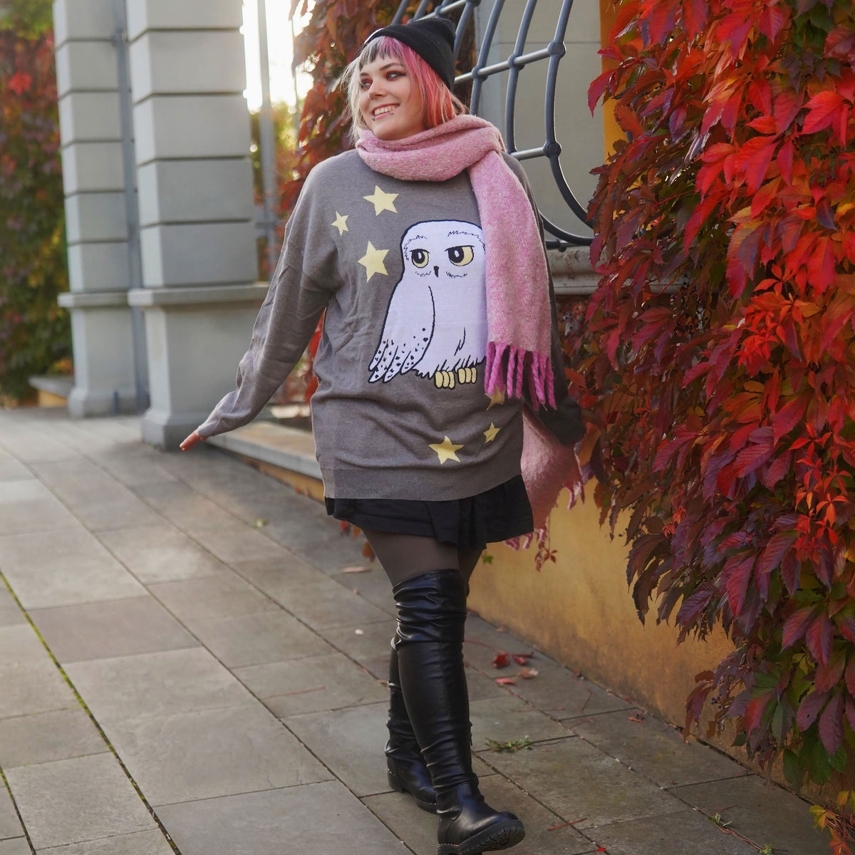 Imagen del producto Harry Potter - Jersey Oversize de Hedwig gris